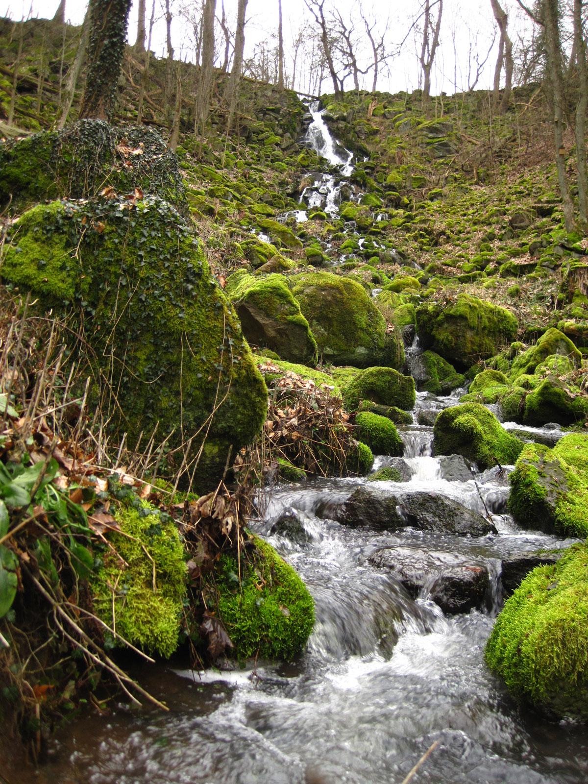 Im Frühjahr bei spärlicher Vegetation zeigt sich Leyenbach-Wasserfall von seiner schönsten Seite. Quelle Foto: Michael Volkwein.